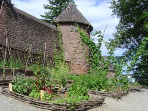 Le jardin médiéval du Haut-Koenigsbourg